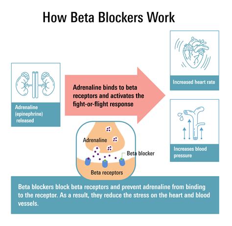 beta block|Beta Blockers: List, Side Effects & What They Do.